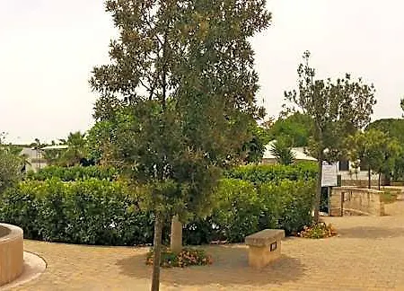 Koine Otranto