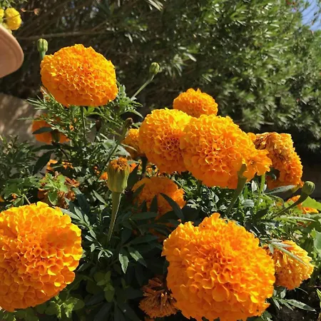 Club Koine 4* Otranto