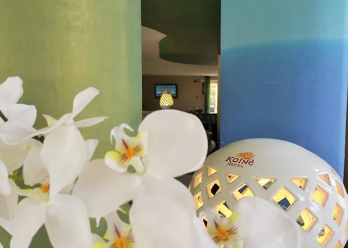 Hotel Club Koine